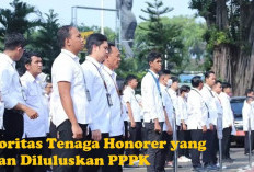 Tenaga Honorer yang Diprioritaskan Akan Lulus Seleksi PPPK 2024, Inilah Katagorinya