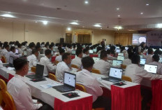 9 Peserta Seleksi PPPK Kaur Tahap Kedua Gugur, Berikut Jadwal Pengumuman Kelulusan 