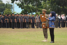 MENGEJUTKAN! Pemkab Bengkulu Selatan Pastikan Tidak Lagi Terima Honorer Baru, Ini Alasannya