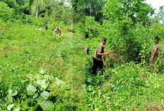TPU Desa Cuko Enaw Dibersihkan,  Ini Tujuan Utama Kegiatan Pemdes
