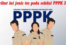 SEBENTAR LAGI DIBUKA! Inilah   Jenis Tes Seleksi PPPK 2024