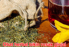 WASPADA! Baru Saja BPOM Rilis Obat Herbal   Bikin Rusak Ginjal, Berikut Ini Jenisnya!