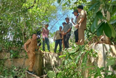 60 Hektare Sawah di Desa Muara Dua Terbengkalai, Irigasi Rusak Belum Diperbaiki