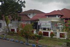 PT Bimex Terancam Dibubarkan,  Pemprov Bengkulu Tidak Kehabisan Cara untuk Menyelamatkan 