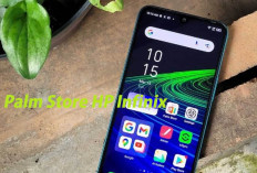 Cara Update Aplikasi di Palm Store HP Infinix