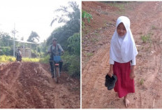 Miris! Jalan Rusak 3 Kilometer di Pino Raya, Warga, Pelajar hingga Guru Jadi Korban