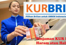 Hari Gini Masih Mengajukan KUR BRI Lewat Calo, Yuk Intip Caranya di Sini, Dijamin Mudah