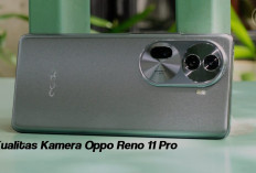 Kualitas Kamera Oppo Reno 11 Pro, Konten Kreator Wajib Pakai!