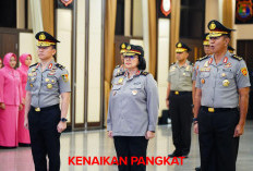 Bukan hanya sekadar penghargaan, 17 Pati Polri Terima Kenaikan Pangkat Setingkat Lebih Tinggi, Berikut Daftar 