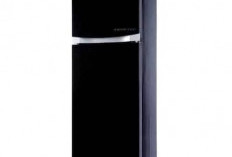 AQUA AQR 355IG Kulkas 2 Pintu Terbaru Tahun 2025, Yuk Cek Keunggulannya!