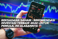 Reksadana Saham : Rekomendasi Investasi Terbaik 2024 untuk Pemula, Ini Alasannya