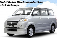 3 Mobil Bekas Rekomendasi untuk Keluarga, Suzuki APV Teratas Loh!