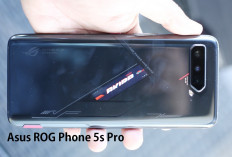 Kualitas Terbaik Asus ROG Phone 5s Pro, Dijamin Gacor untuk Gamer!