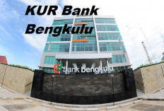 KUR Bank Bengkulu 2025 dapat Alokasi 100 Miliar dari Pemerintah Pusat