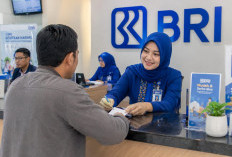 Punya Usaha Keripik, Konveksi atau Kerajinan? Ini Peluang KUR BRI 2026 dan Syarat Pengajuannya