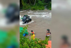 BREAKING NEWS! Seberangi Sungai Air Nipis, Mobil Pengangkut Jagung di Bengkulu Selatan Hanyut