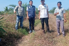 Pembukaan Jalan Baru Tanjung Besar Tuntas, Kades: Upaya Peningkatan Ekonomi Warga