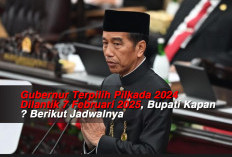 Gubernur Terpilih Pilkada 2024 Dilantik 7 Februari 2025, Bupati Kapan ? Berikut Jadwalnya