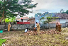 Tempati Kantor Baru, Pegawai Kantor Camat Nasal Berikan Pelayanan Maksimal 