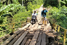 Perbaikan Jembatan Penghubung Desa Tanjung   Aur - Linau Ditunda, Goro Dijadwalkan Ulang