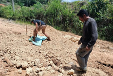 TKD Akan Dipangkas! Kades Bersama Warga Angkut Material Tambal Jalan Bergelombang