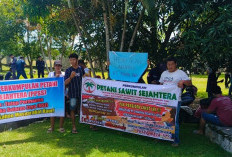 PPSS Tuntut Penutupan PT DSJ, Ini Penjelasan Wabup Kaur