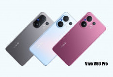 Vivo V60 Pro Layar AMOLED, Tahan Banting Nyaman Buat Mata, Performa Tangguh Super Cepat
