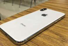 Panggilan iPhone Tidak Berbunyi, Ini Penyebab yang Sering Tidak Disadari