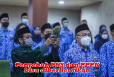 UU Pasal 52 Ayat 3, Berikut 10 Penyebab PNS PPPK Diberhentikan Secara Tidak Hormat