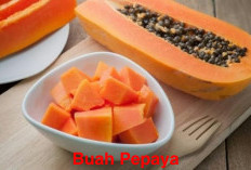 Konsumsi Buah Pepaya , Bikin Tips Diet   Sukses, Cek di Sini Panduan Lengkapnya!
