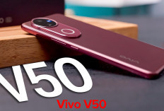 Review Spesifikasi HP Vivo V50 5G; Performa Kuat, Awet dan Nyaman