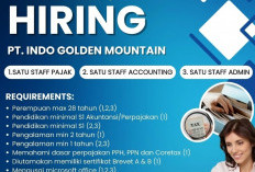 Loker Staff Accounting di PT Indo Golden Mountain Semarang, Cek Persyaratannya 