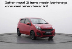 Daftar Mobil 2 Baris Mesin Bertenaga Konsumsi Bahan Bakar Irit! Ini Nama - Namanya