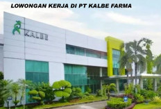 Lowongan Kerja Besarbesaran di PT Kalbe Farma, Cek Persyaratannya