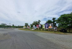 Bawaslu dan Satpol PP Bengkulu Selatan Saling   Lempar, Soal Ribuan APK Dibiarkan Bertebaran