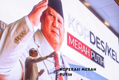 Pinjaman Koperasi Merah Putih dari Bank Himbara Bukan Otomatis Rp 3 M, Ini yang Dikaji! 