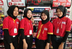 Kembali Dibuka Lowongan Kerja Alfamart Semua Lulusan Bisa Daftar, Asalkan Sesuai Persyatatan