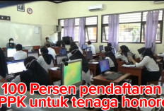 100 Persen Pendaftar PPPK Untuk Tenaga Honorer Sekolah Negeri , Guru Swasta Bagaimana? Ini Jawabannya 