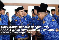 Tidak Kalah Menarik dengan PNS, PPPK Berhak Mendapatkan Tunjangan, Kecuali Tunjangan Ini