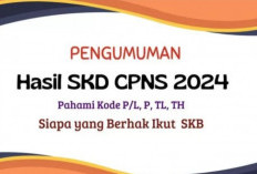 PENGUMUMAN BESOK! Berikut Cara Cek Hasil SKD CPNS 2024 Beserta Syaratnya