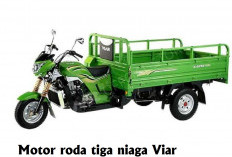 Viar Luncurkan 2 Motor Roda Tiga Andal untuk Kebutuhan Usaha, Harganya Murah, Cocok Segala di Medan