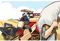 Butuh Dana Rp 300 Miliar, Pemkab Bengkulu Selatan Sampaikan Usulan 150 Unit Combine ke Kementan RI