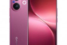 HP Vivo Terbaik Kelas Dunia, Brand Ponsel Berkembang Cukup Pesat