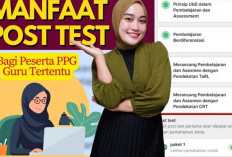 Banyak Keuntungan Setelah Lulus Menjadi PPG Guru, Simak Keuntungannya