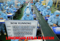 Lowongan Kerja di Batam Butuh Tiga Posisi, Cek Persyaratan dan Cara Mendaftarnya!