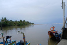 Prihatin Kondisi Pulau Enggano, Bupati Usulkan Muara Sungai Air Manna di Pasar Bawah Jadi Pelabuhan Alternatif