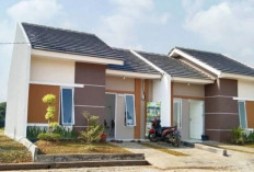 Intip Keunggulan Perumahan Subsidi Minimalis Modern yang Nyaman dan Cocok untuk Keluarga Muda