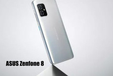 Segini Harga ASUS Zenfone 8 dengan Fitur unggulan di Oktober 2025!