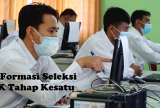 Pelamar PPPK Tahap ke-2 Ingin Mengetahui Sisa Formasi Seleksi PPPK Tahap Kesatu,  Ini Langkah-Langkahnya