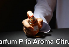 Parfum Pria Aroma Citrus Menghilang Bau Badan